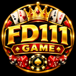 FD111 Game